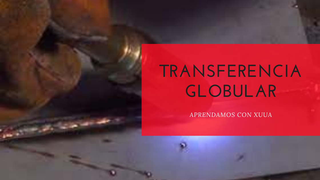 TRANSFERENCIA GLOBULAR 